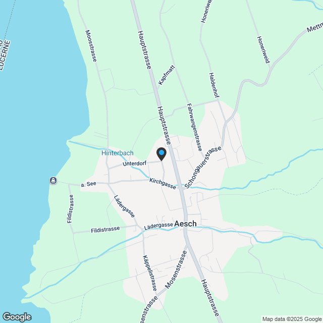 'Seenswert' Wohnen am Hallwilersee - im Einklang mit der Natur - Karte
