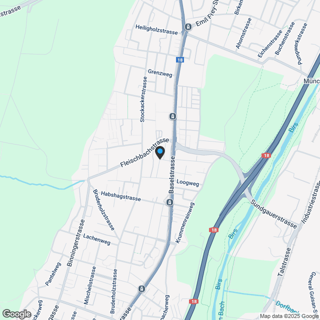 Freistehende Einfamilienhäuser in Reinach BL - Karte
