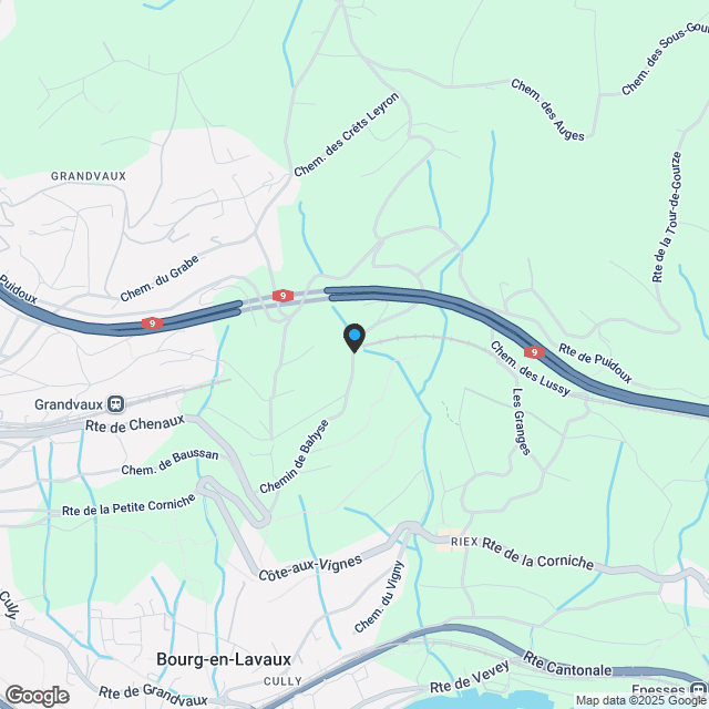 Prächtige 3.5-Zimmer-Neuwohnung mit Panoramablick in Grandvaux - Karte