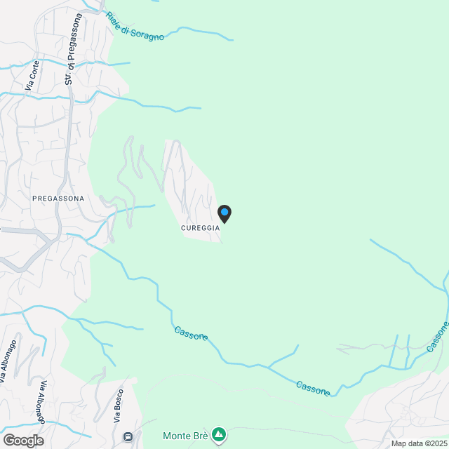Cureggia: 2.5-Zimmer-Wohnung - Karte