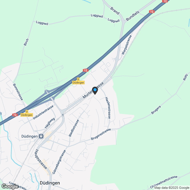 4.5-Zimmer-Gartenwohnung mit 100 m² Terrasse in Düdingen - Karte