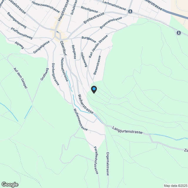 Exklusives Wohnen im TANNENPARK Muttenz - Karte