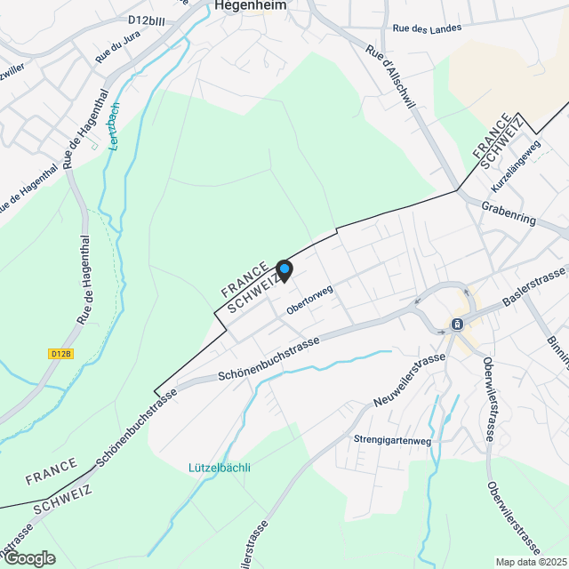 Neubau - Doppeleinfamilienhaus an erhöhter Lage "Allschwil Rosenberg"! - Karte