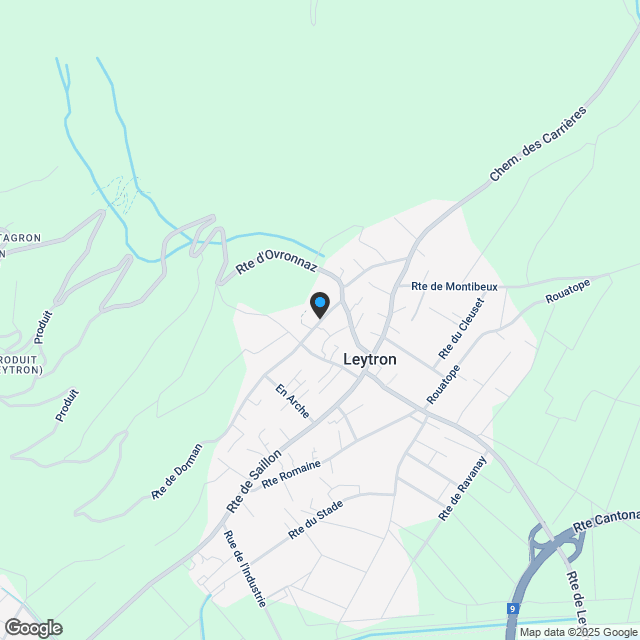 Hervorragende 2,5-Zimmer-Wohnung in Leytron - Komfort und Licht in grüner Umgebung - Karte