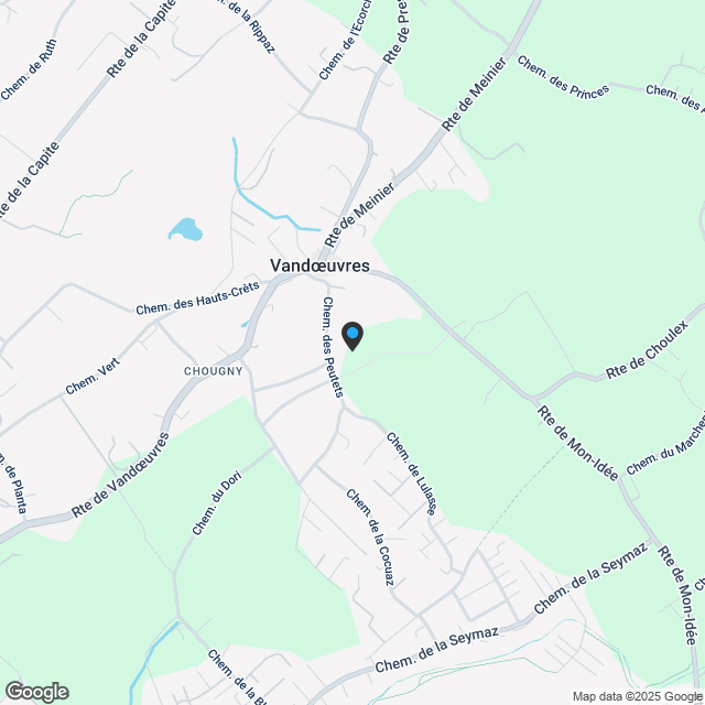 PROJET NEUF - APPARTEMENT DE LUXE A VANDOEUVRES - Karte