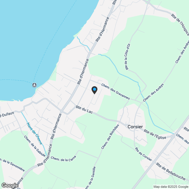 EXKLUSIV: Prächtiges Luxus-Anwesen in Corsier - Karte