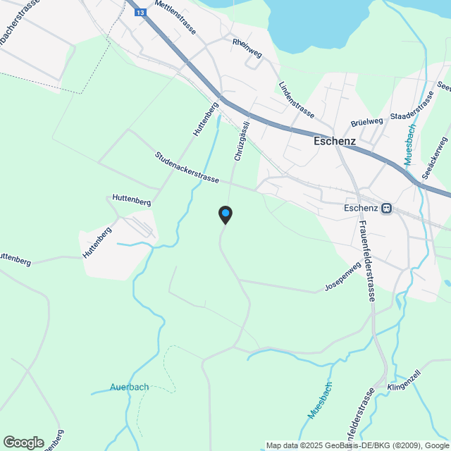Vier freistehende 5.5-Zimmer Einfamilienhäuser Neubau in Eschenz - Karte