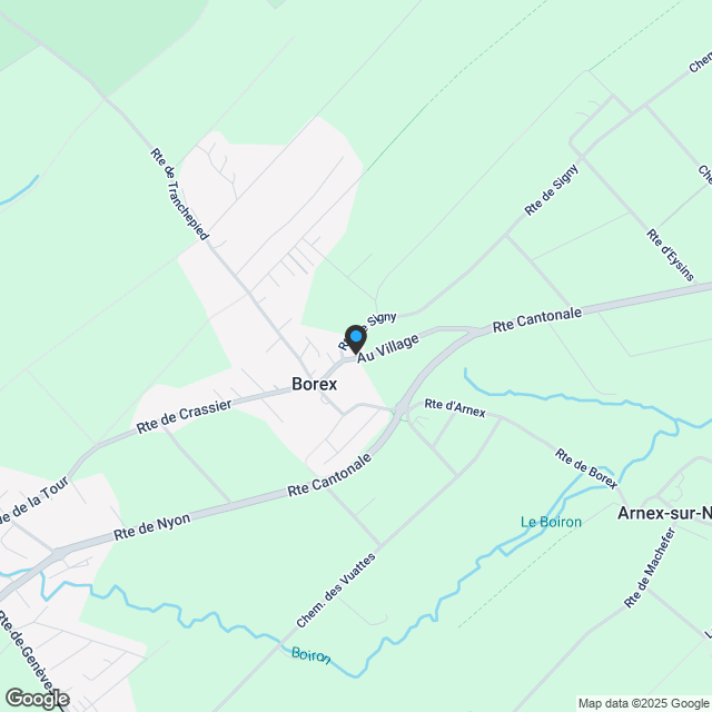 2,5-Zimmer-Wohnung in Borex - Karte