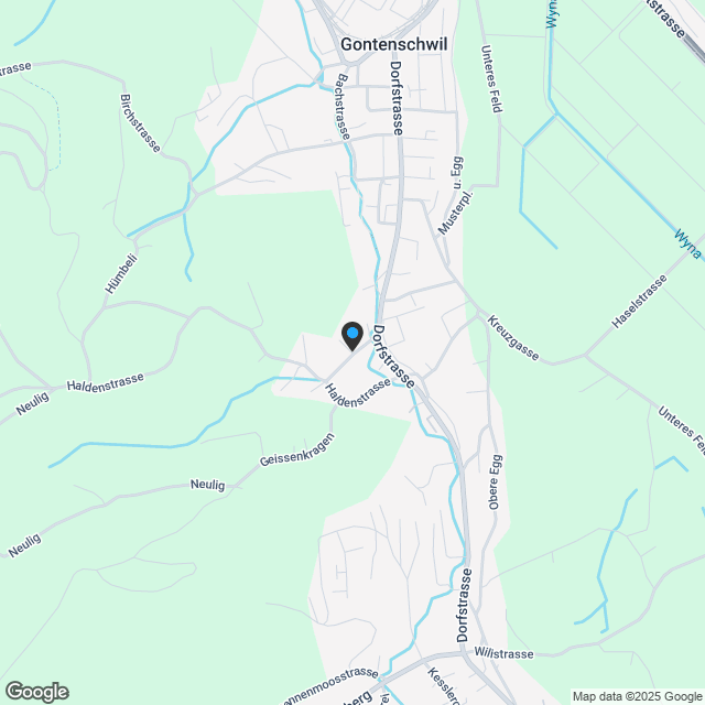 NEUBAU! 5½-Zimmer-Einfamilienhaus mit Attikageschoss, freistehend - Karte