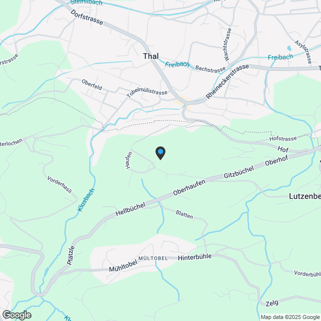 Neubau - 2.5-Zimmerwohnung im "Appenzellerholz"-Haus - Karte
