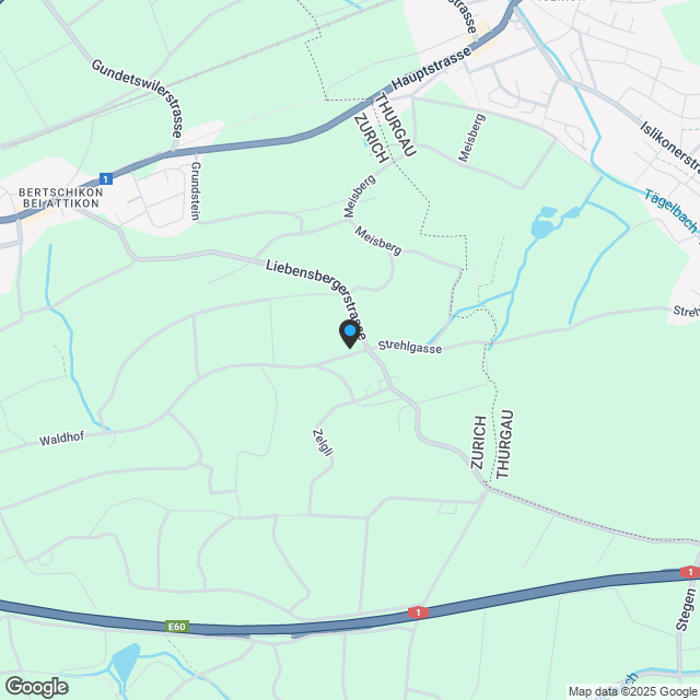 Neubau: 4.5-Zimmer-Eigentumswohnung (OG, Nr. 6) im ländlichen Liebensberg (Gemeinde Wiesendangen) - Karte