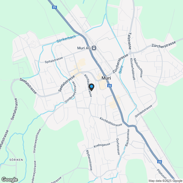 Neubau-Mehrfamilienhaus an zentraler Lage in Muri AG - Karte
