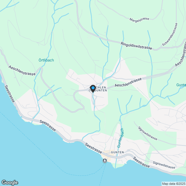 1.5-Zimmer Naturhaus mit unverbaubarer Sicht auf den Thunersee - Karte