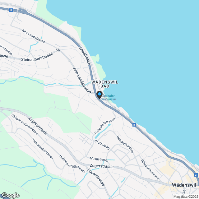 2.5 Zimmerwohnung in Au Wädenswil - Karte