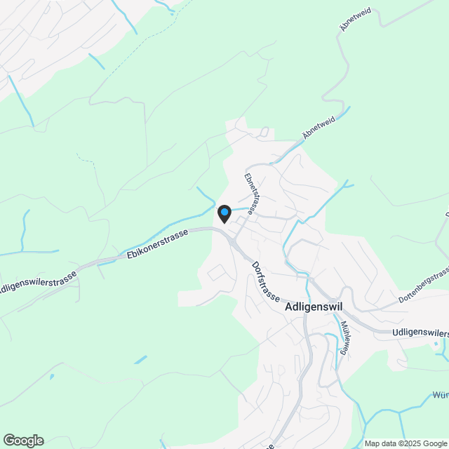 Neubau hochwertiges 6.5-Zimmer-Einfamilienhaus - Karte