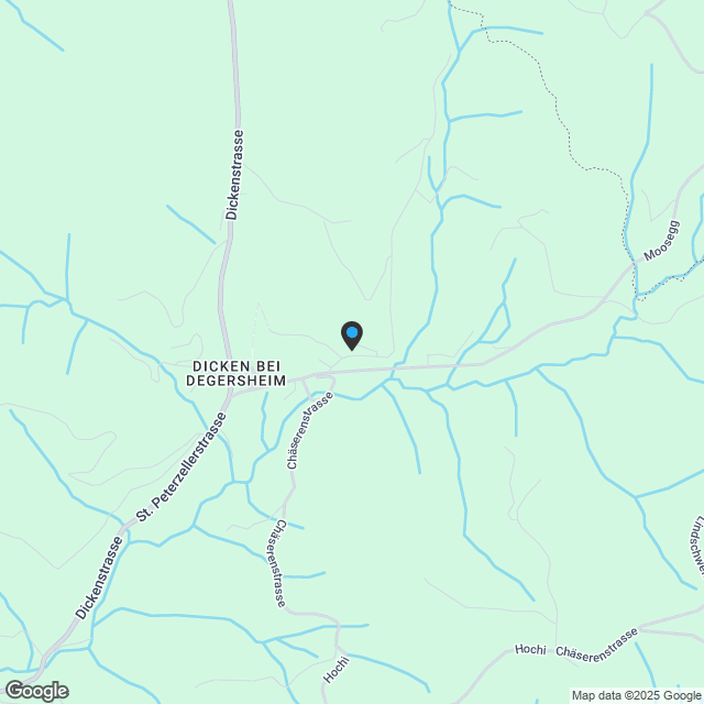 Riesiges Einfamilienhaus mit grossem Grundstück + Potenzial - Karte