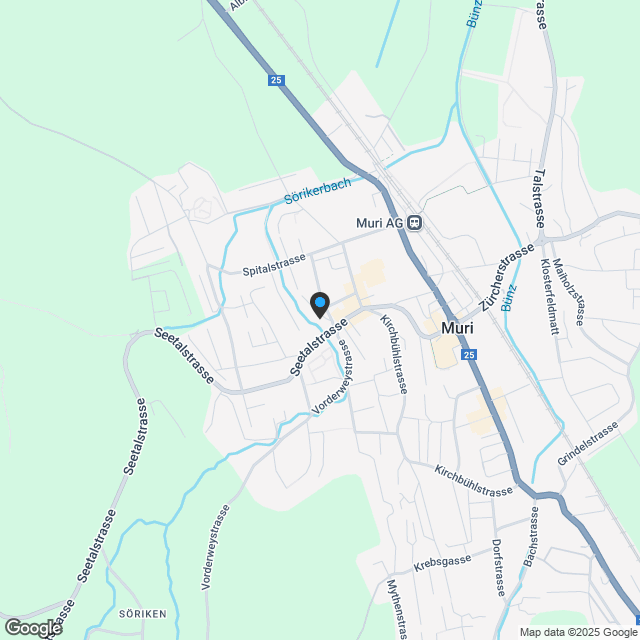 Neubau DEFH 101 Regliweg 1a, 5630 Muri - Karte
