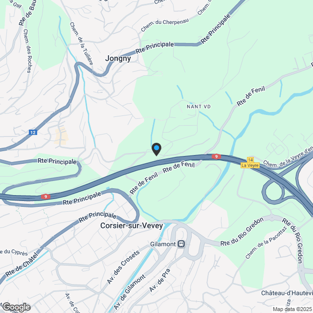 6.5 Zimmerwohnung in Coriser-sur-Vevey - Karte