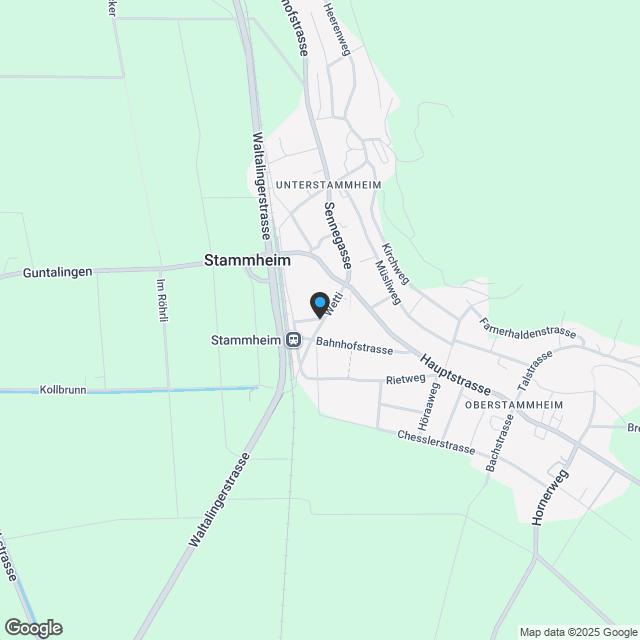 Doppeleinfamilienhaus «Struppler» - Karte