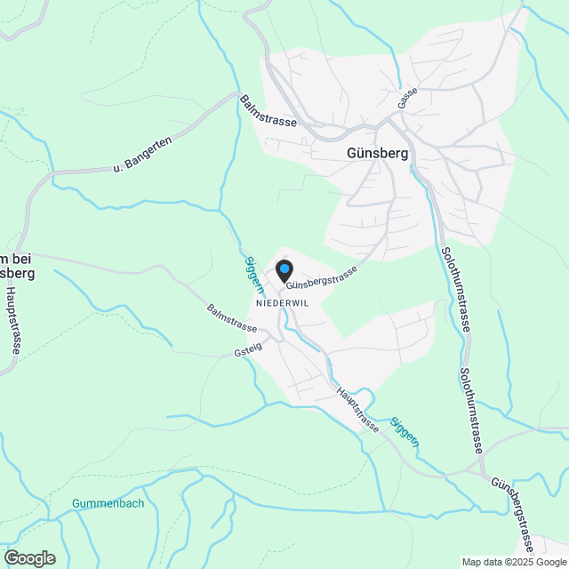 4.5 Zimmer-Duplex-Attikawohnung mit Alpenterrasse - Karte