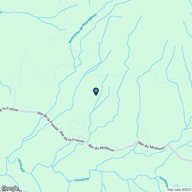 Appartement 4.5 Zimmer in Châtel-St-Denis - Karte