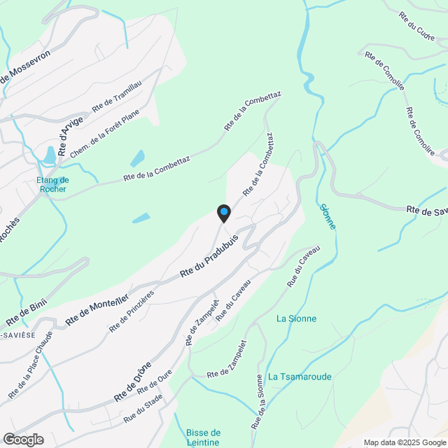 Green Line à Savièse - Karte