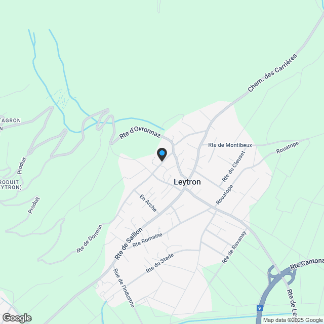 Zukünftige Vermarktung von 7 Wohnungen in Leytron - Karte