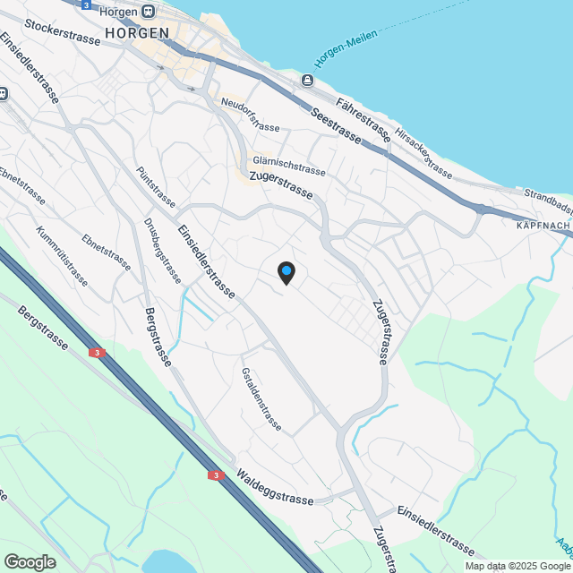 Exklusives Doppeleinfamilienhaus in Horgen - Karte