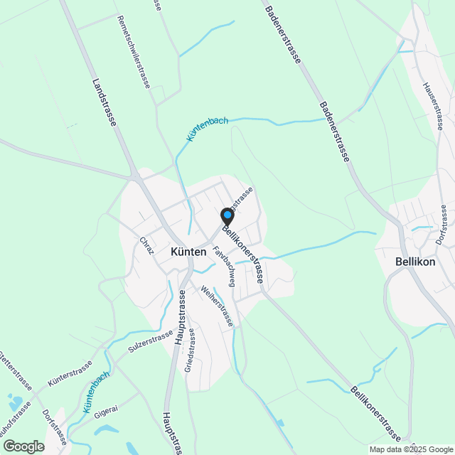 3.5 Zimmer-Terrassenwohnung in Künten - Karte