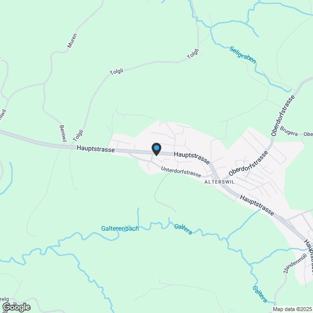 Dein neues Zuhause in Alterswil - Karte