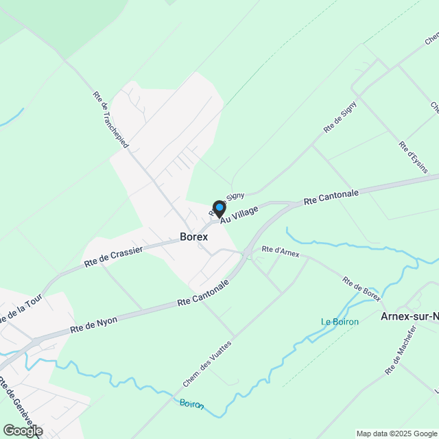 Wohnung 4.5 Zimmer in Borex Kopie - Karte