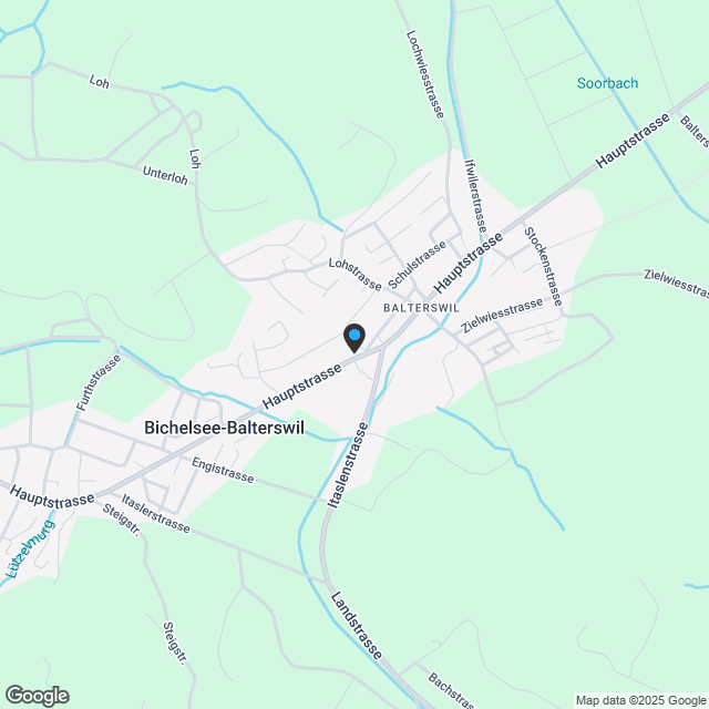 Ihr neues Zuhause in Balterswil - Idyllisch wohnen mit Komfort, Qualität und nachhaltiger Bauweise - Karte