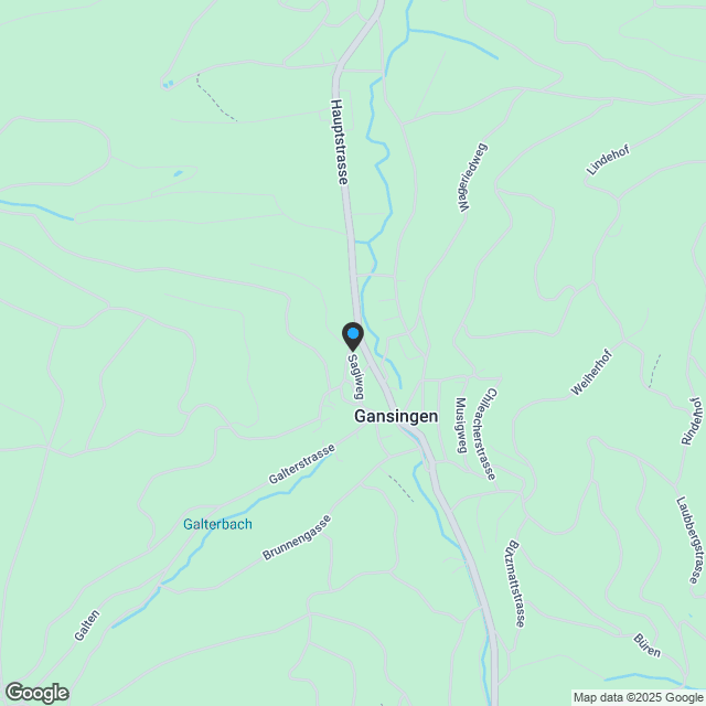 Neubauprojekt: Wohnraum Gansingen - Karte