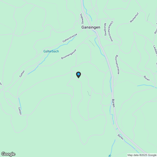 Neubauprojekt: Wohnraum Gansingen - Karte