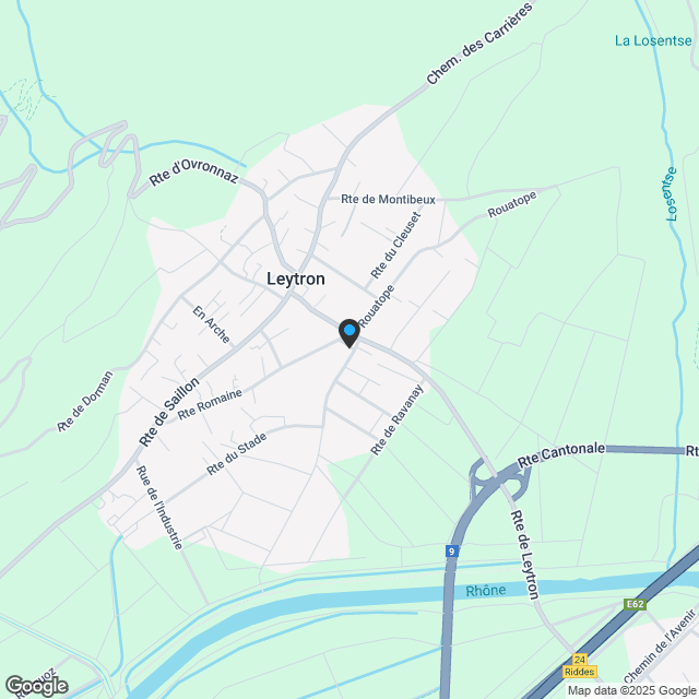 4.5-Zimmerwohnung in Leytron - Karte