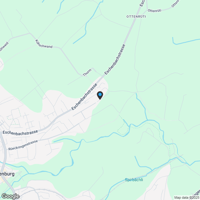 5.5 Zimmer Doppel-Einfamilienhaus - Karte