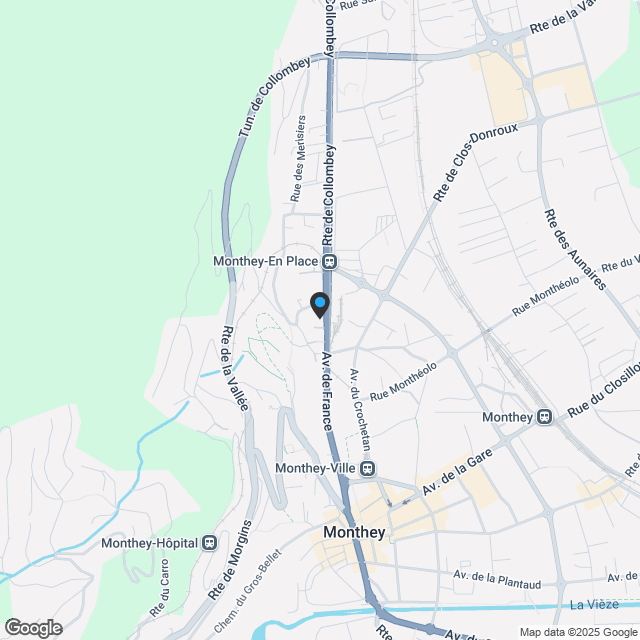 Zweieinhalb-Zimmer-Wohnung in Monthey - Karte