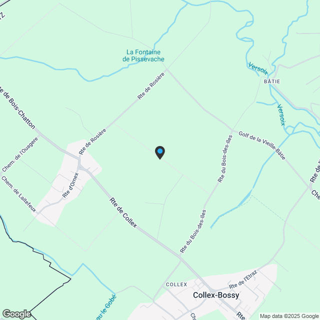 Chaumets 14 Collex-Bossy - Erdgeschosswohnung - Karte