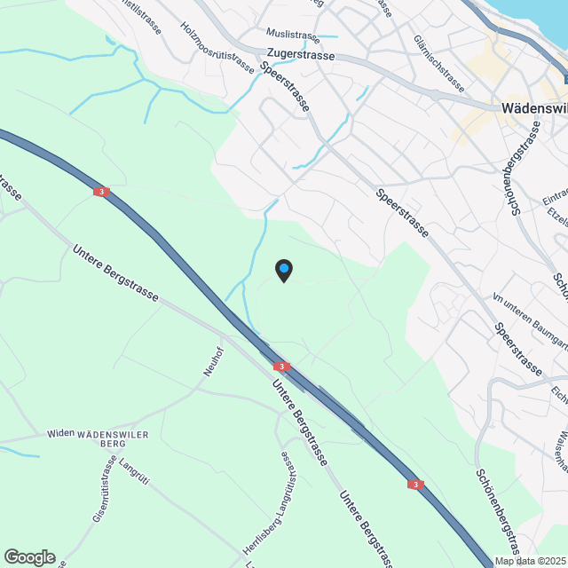 Luxuriöses Lakeshore Townhouse am Zürichsee - Karte