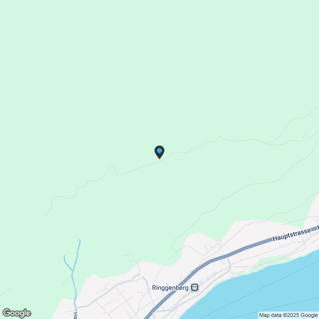 Sonnenterrasse & Seeblick - Ihr Leben am Brienzersee! - Karte