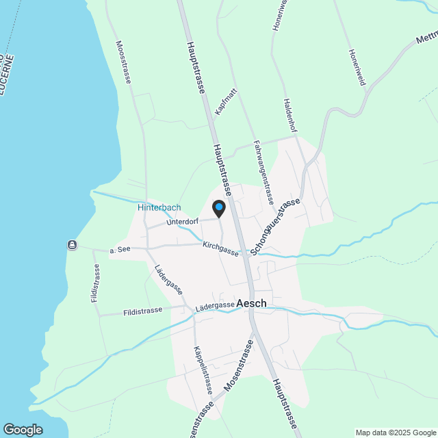 'Seenswert' Wohnen am Hallwilersee - im Einklang mit der Natur - Karte
