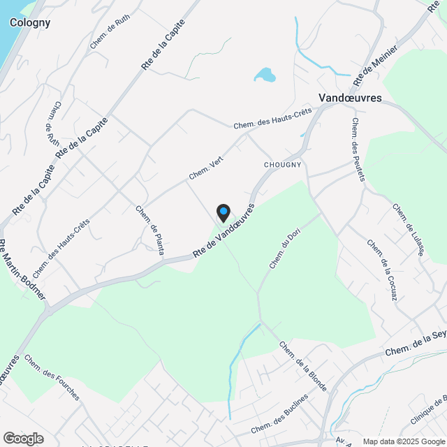 VANDOEUVRES 77 - 5-ZIMMER-WOHNUNG - Karte