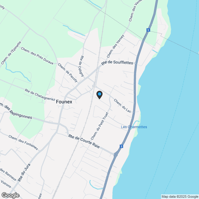 Projekt Attika-Wohnung mit Dachgarten und Garten - Founex - Karte