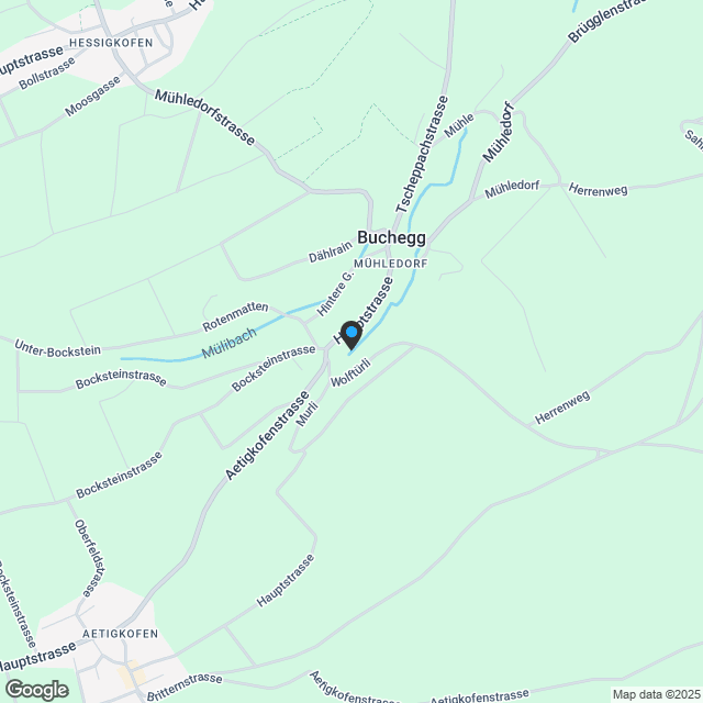 Neues 7.5 Zimmer Einfamilienhaus mit viel Umschwung - Karte