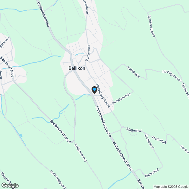 Gehobene 6.5-Zimmer mit grossem Garten in Bellikon - Karte