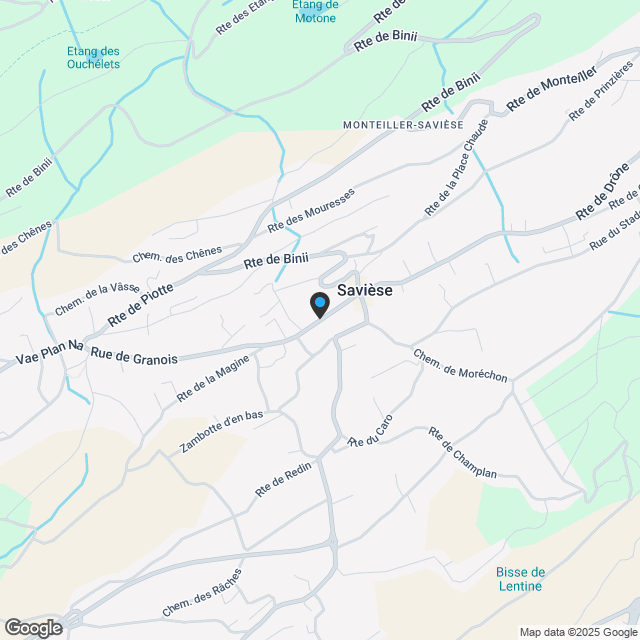 SAVIESE ZENTRUM - NEUE PROMOTION - Karte