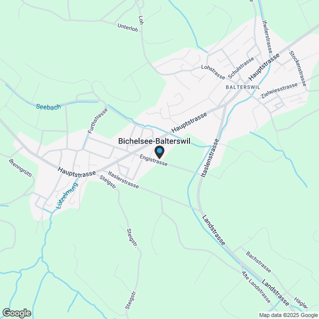 Weitsicht & Idylle- modernes Doppelfamilienhaus in Bichelsee - Karte