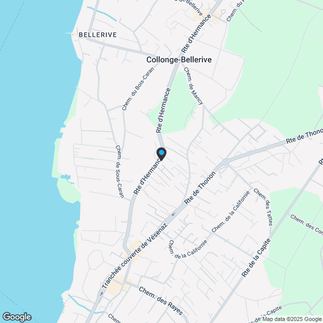 Hervorragende neue Wohnung im Herzen von Vésenaz - Karte