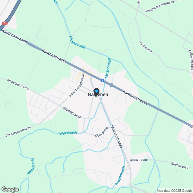 MFH Quadro Galgenen - 2.5 Zimmer Gartenwohnung - Karte