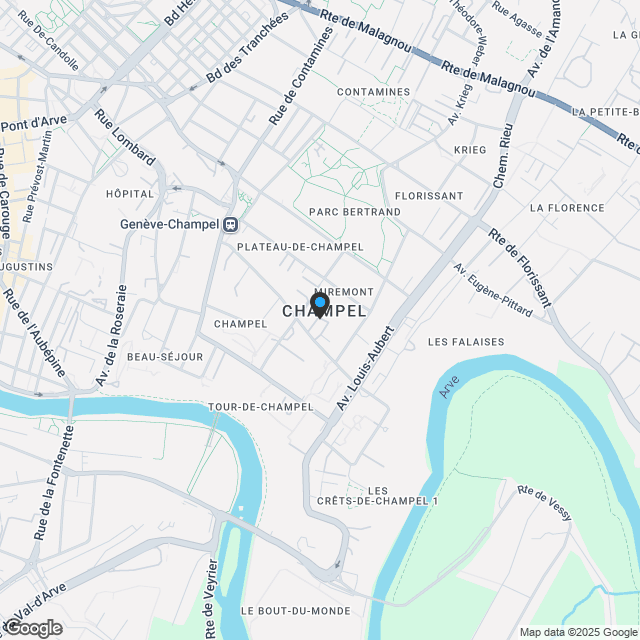 NEU - 5,5 Zimmer Dachgeschoss-Duplex Champel_C2 - Karte